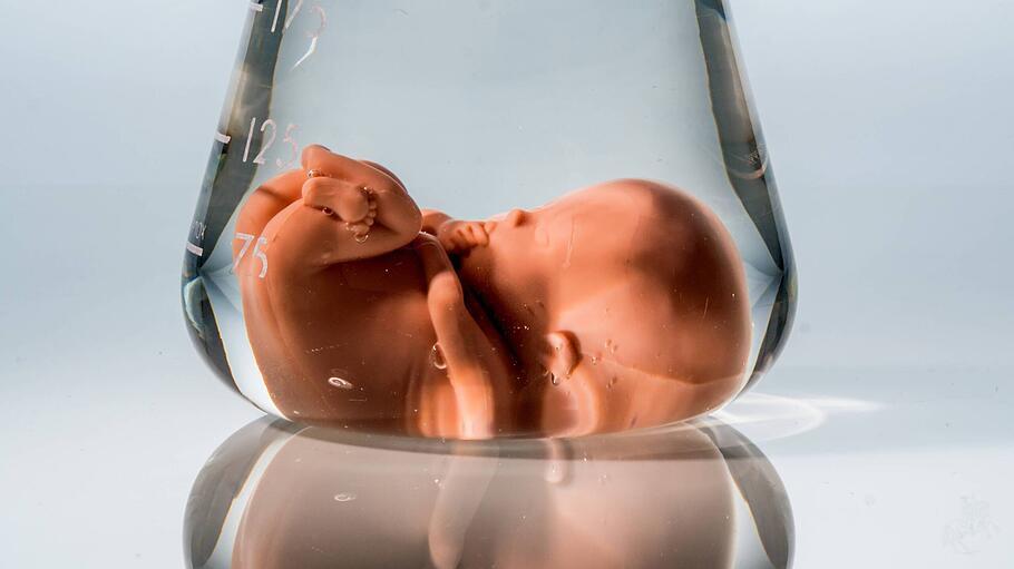 Fortpflanzungsmedizin: Modell eines Embryos in einem Laborglas